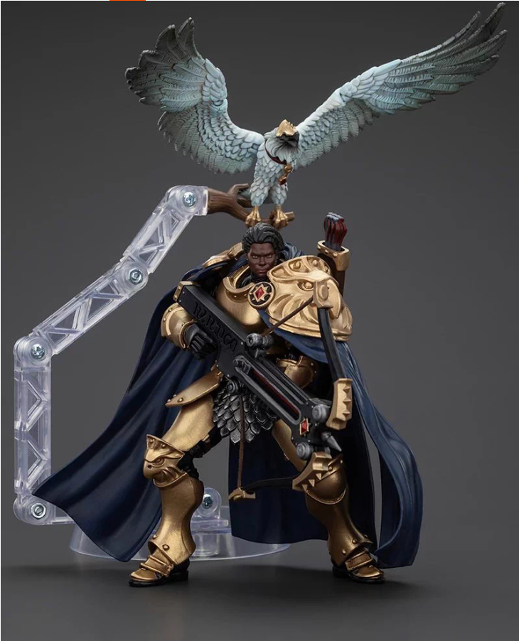JOYTOY   Warhammer AGE OF SIGMAR  Scale：1/18   Stormcast Eternals The Blacktalons Shakana Goldenblade